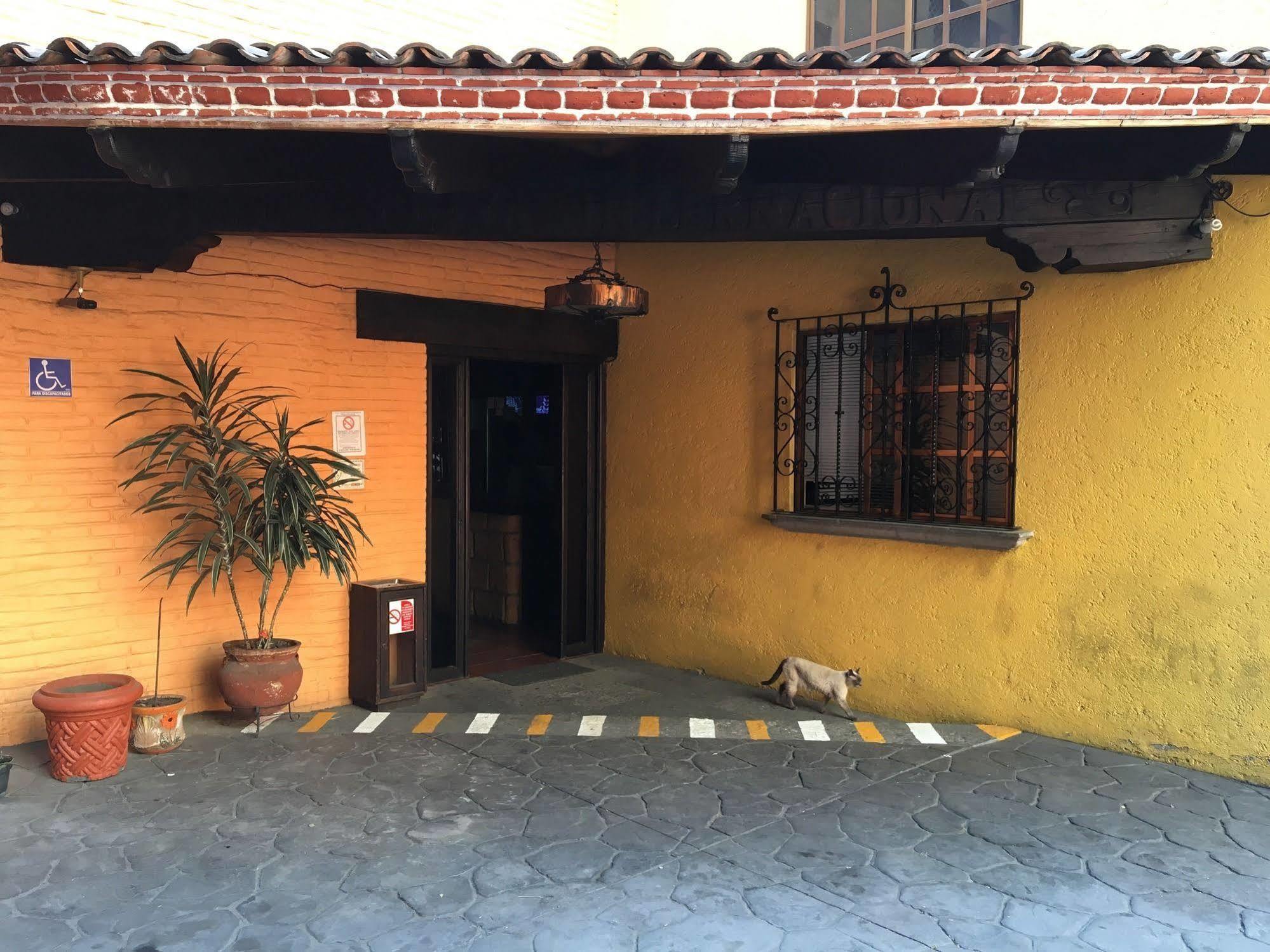 Hotel Playa Internacional Μεξικό Εξωτερικό φωτογραφία
